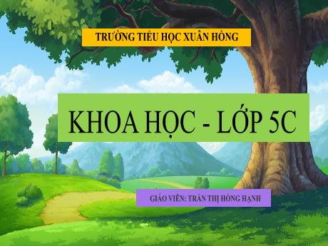 Bài giảng Khoa học 5 (Kết nối tri thức) - Bài: 56: Sự sinh sản của côn trùng - Năm học 2023-2024 - Trần Thị Hồng Hạnh