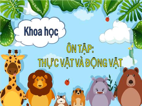 Bài giảng Khoa học 5 (Kết nối tri thức) - Bài: Ôn tập thực vật và động vật - Năm học 2023-2024 - Bạch Thị Hải Yến