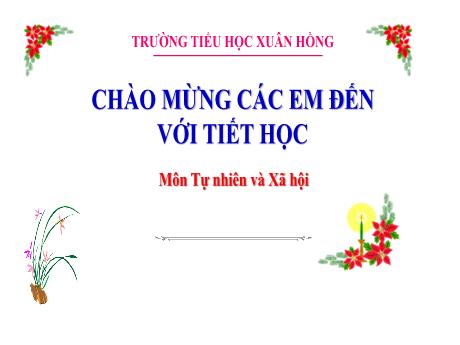 Bài giảng Tự nhiên và xã hội 3 (Kết nối tri thức) - Bài 10: Hoạt động sản xuất thủ công và công nghệ (Tiết 1) - Năm học 2023-2024 - Bạch Thị Hải Yến