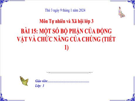 Bài giảng Tự nhiên và xã hội 3 (Kết nối tri thức) - Bài 15: Một số bộ phận của động vật và chức năng của chúng (Tiết 1) - Năm học 2023-2024 - Đoàn Thị Hương