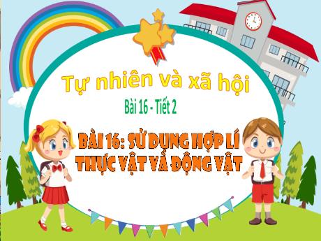 Bài giảng Tự nhiên và xã hội 3 (Kết nối tri thức) - Bài 16: Sử dụng hợp lí thực vật và động vật (Tiết 2) - Năm học 2023-2024 - Bạch Thị Hải Yến
