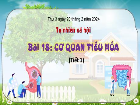 Bài giảng Tự nhiên và xã hội 3 (Kết nối tri thức) - Bài 18: Cơ quan tiêu hóa (Tiết 1) - Năm học 2023-2024 - Bạch Thị Hải Yến