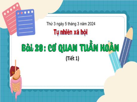 Bài giảng Tự nhiên và xã hội 3 (Kết nối tri thức) - Bài 20: Cơ quan thần kinh (Tiết 1) - Năm học 2023-2024 - Bạch Thị Hải Yến