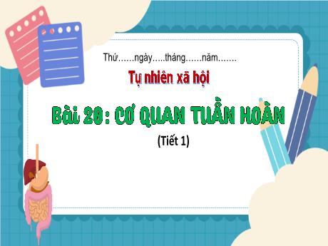Bài giảng Tự nhiên và xã hội 3 (Kết nối tri thức) - Bài 20: Cơ quan tuần hoàn (Tiết 1) - Năm học 2023-2024 - Hoàng Thị Dung