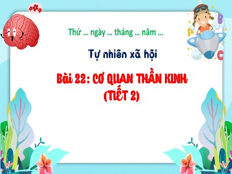 Bài giảng Tự nhiên và xã hội 3 (Kết nối tri thức) - Bài 22: Cơ quan thần kinh (Tiết 2) - Năm học 2023-2024 - Hoàng Thị Dung