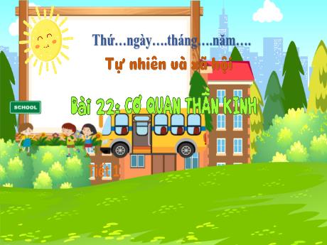 Bài giảng Tự nhiên và xã hội 3 (Kết nối tri thức) - Bài 22: Cơ quan thần kinh (Tiết 1) - Năm học 2023-2024 - Hoàng Thị Dung