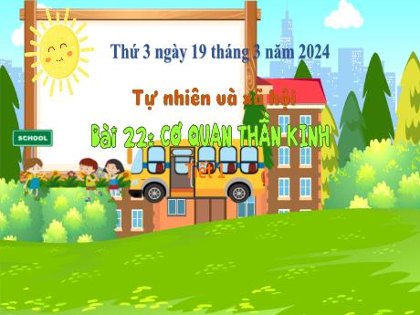 Bài giảng Tự nhiên và xã hội 3 (Kết nối tri thức) - Bài 22: Cơ quan thần kinh (Tiết 1) - Năm học 2023-2024 - Bạch Thị Hải Yến