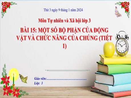 Bài giảng Tự nhiên và xã hội Lớp 3 (Kết nối tri thức) - Bài 15: Một số bộ phận của động vật và chức năng của chúng (Tiết 1) - Năm học 2023-2024 - Bạch Thị Hải Yến