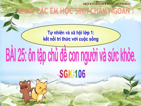 Bài giảng Tự nhiên xã hội 1 (Kết nối tri thức) - Bài 25: Ôn tập chủ đề con người và sức khỏe - Năm học 2023-2024 - Bạch Thị Hải Yến