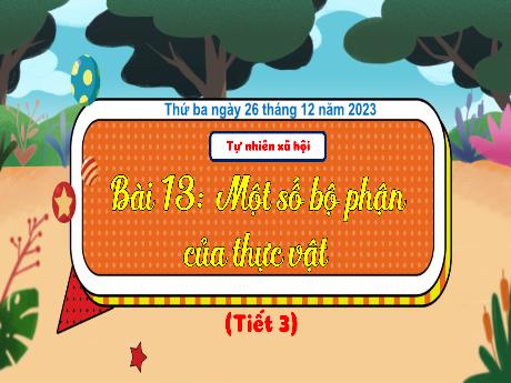 Bài giảng Tự nhiên xã hội 3 (Kết nối tri thức) - Bài 13: Một số bộ phận của thực vật (Tiết 3) - Năm học 2023-2024 - Hoàng Thị Dung