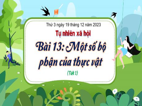 Bài giảng Tự nhiên xã hội 3 (Kết nối tri thức) - Bài 13: Một số bộ phận của thực vật (Tiết 1) - Năm học 2023-2024 - Bạch Thị Hải Yến