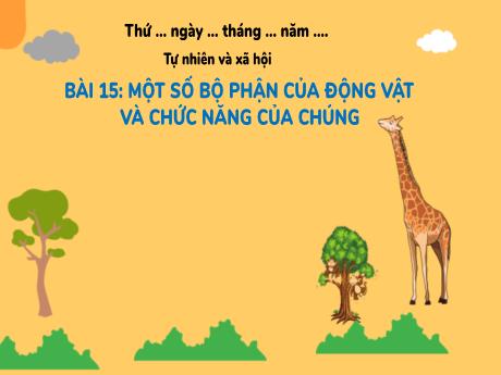 Bài giảng Tự nhiên xã hội 3 (Kết nối tri thức) - Bài 15: Một số bộ phận của động vật và chức năng của chúng - Năm học 2023-2024 - Trần Thị Hương