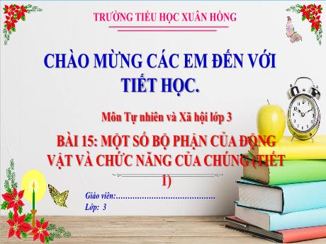Bài giảng Tự nhiên xã hội 3 (Kết nối tri thức) - Bài 15: Một số bộ phận của động vật và chức năng của chúng (Tiết 1) - Năm học 2023-2024 - Hoàng Thị Dung
