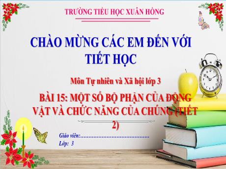 Bài giảng Tự nhiên xã hội 3 (Kết nối tri thức) - Bài 15: Một số bộ phận của động vật và chức năng của chúng (Tiết 2) - Năm học 2023-2024 - Hoàng Thị Dung