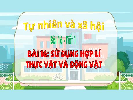 Bài giảng Tự nhiên xã hội 3 (Kết nối tri thức) - Bài 16: Sử dụng hợp lí thực vật và động vật (Tiết 1) - Năm học 2023-2024 - Bạch Thị Hải Yến