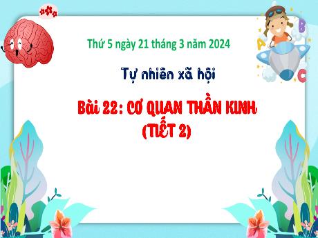Bài giảng Tự nhiên xã hội 3 (Kết nối tri thức) - Bài 22: Cơ quan thần kinh (Tiết 2) - Năm học 2022-2023 - Trần Thị Hồng Hạnh