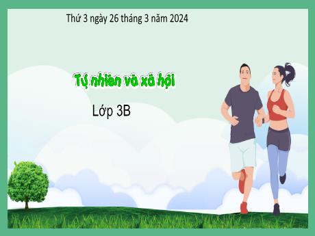 Bài giảng Tự nhiên xã hội 3 (Kết nối tri thức) - Bài 23: Chăm sóc và bảo vệ cơ quan thần kinh (Tiết 2) - Năm học 2022-2023 - Trần Thị Hồng Hạnh