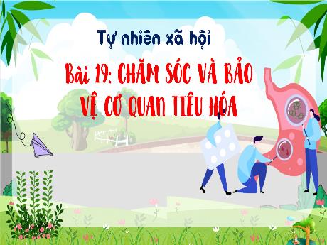 Bài giảng Tự nhiên xã hội 3 (Kết nối tri thức) - Bài 29: Chăm sóc và bảo vệ cơ quan tiêu hóa - Năm học 2023-2024 - Bạch Thị Hải Yến